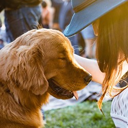 Top tips for a healthy and happy pet this summer