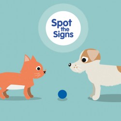 Spot the Signs of OA in Dogs and Cats