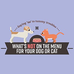 What's not on the menu for your dog or cat