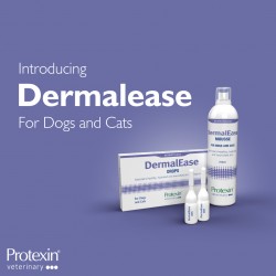 New Product Launch: Introducing DermalEase!
