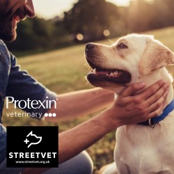 Protexin Veterinary announce StreetVet Charity of the Year!