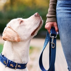 Selecting a suitable behaviourist