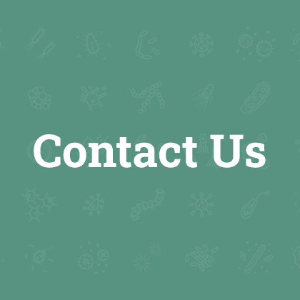 Contact us
