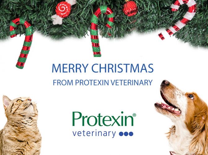 Merry Christmas from Protexin Veterinary