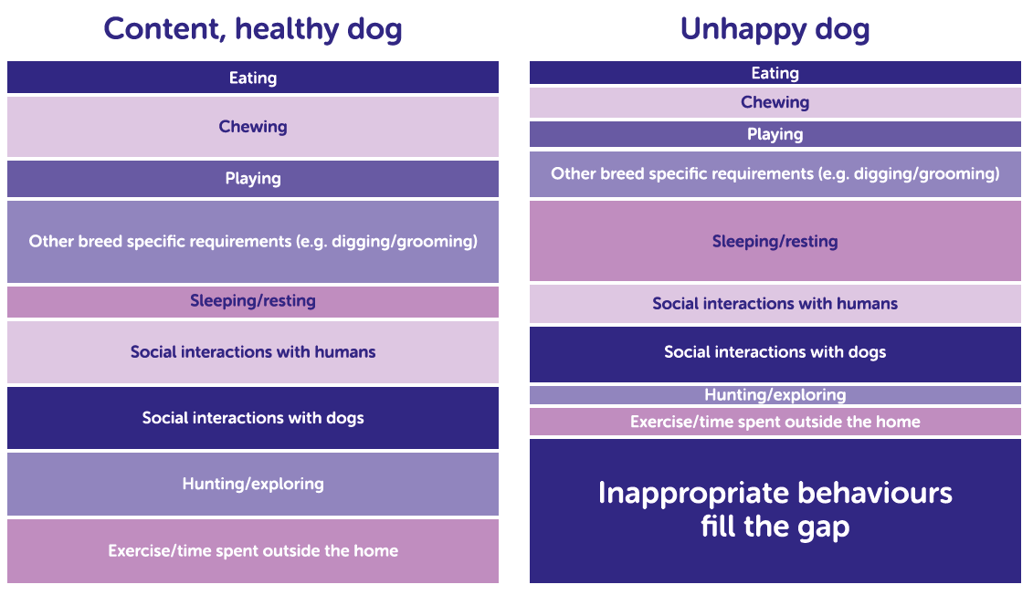 Summary table showing when inappropriate behaviours may appear in the daily routine