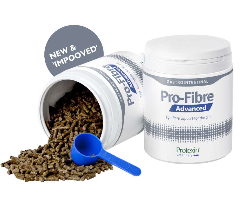 New Product Launch Introducing Pro Fibre Advanced Protexin Veterinary