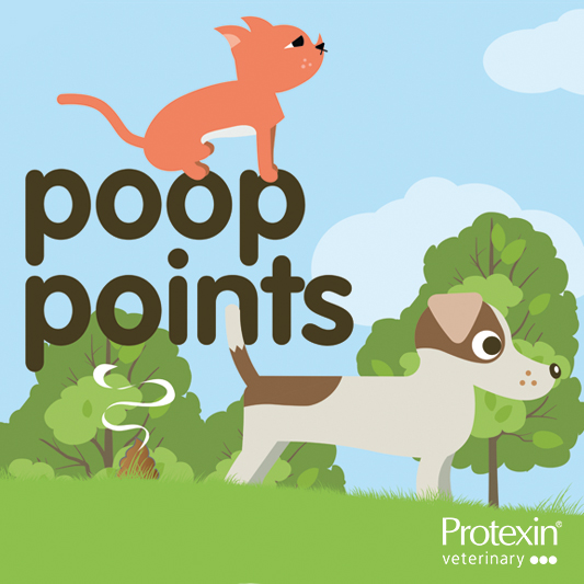 Pamphlet titled Poop Points featuring an illustration of a dog and a cat at the park