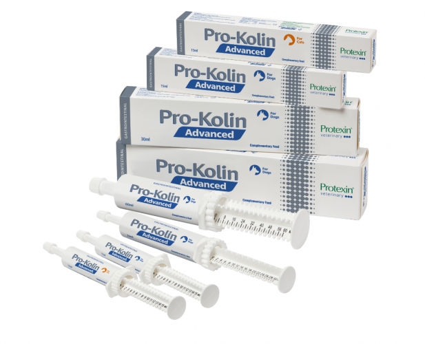 Four boxes of Pro-Kolin Advanced for dogs and cats