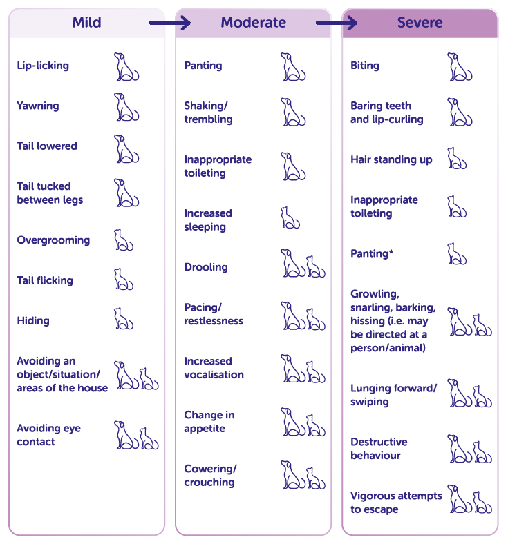 Diagram showing various pet behaviours, from mild to severe