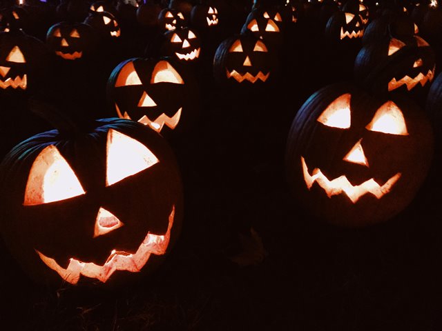 Carved pumpkins illuminating the darkness