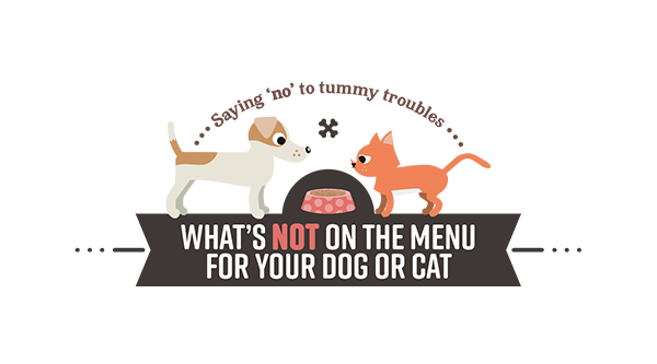 Banner showing Saying No to Tummy Troubles