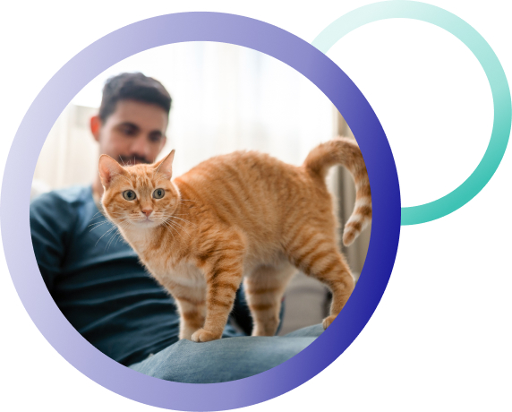 cat-contact-us