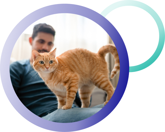 cat-contact-us