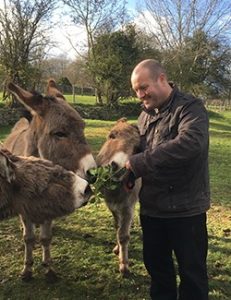 Man feeding donkeys with herbs