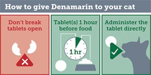 How to give Denamarin to your cat