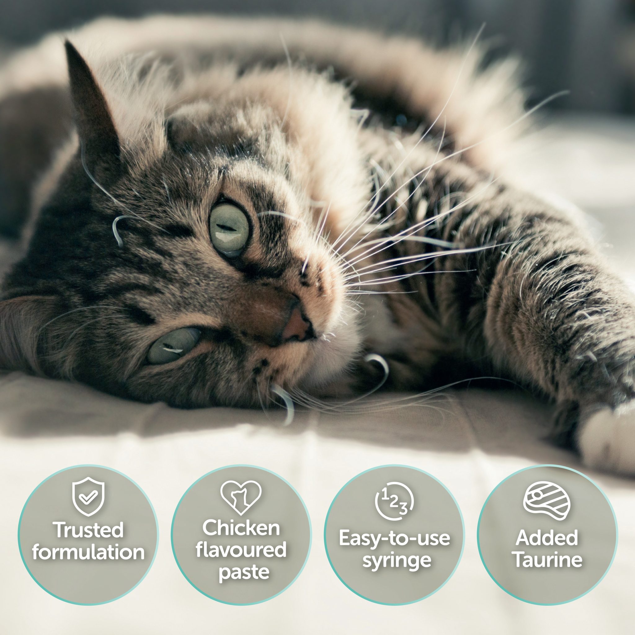 Pro-Kolin Advanced For Cats benefits