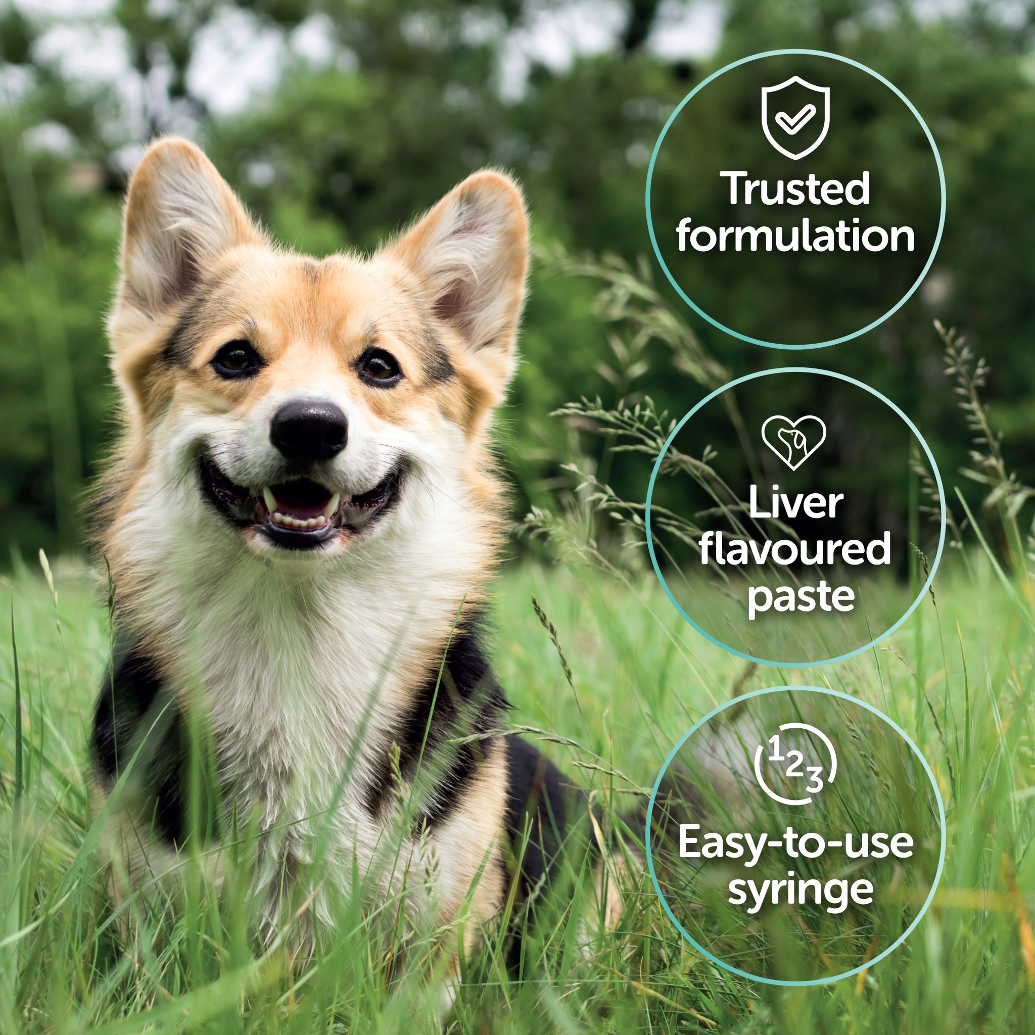 Pro-Kolin Advanced For Dogs benefits
