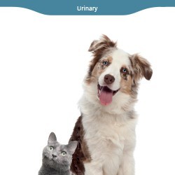 Urinary Solutions