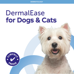 DermalEase for Dogs and Cats