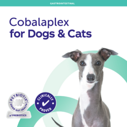 Cobalaplex for Dogs & Cats