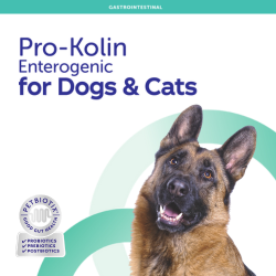 Pro-Kolin Enterogenic for Cats & Dogs