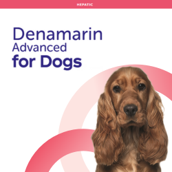 Denamarin Advanced for dogs