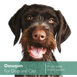 Dasuquin for dogs and cats, a new breed of joint support