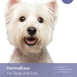 White Yorkshire Terrier looking at the camera