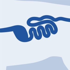 Icon of a Digestive System