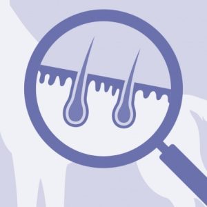 Magnifying glass looking at an epidermal hair