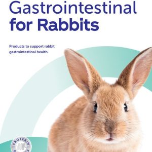 Gastrointestinal Solutions for Rabbits