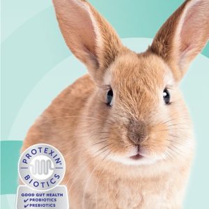 Big Brown Rabbit