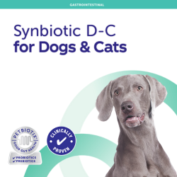 Synbiotic D-C for cats and dogs