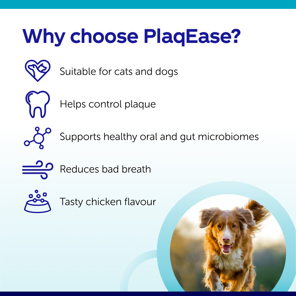 Why choose PlaqEase?