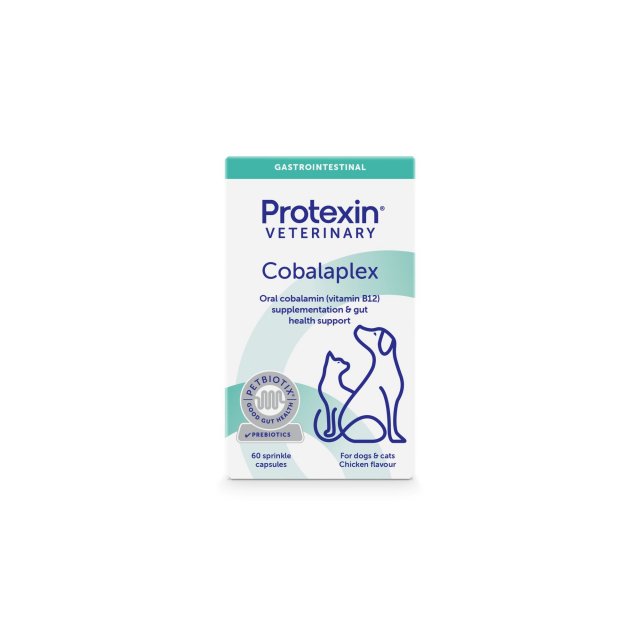 Cobalaplex Oral Vitamin Supplement, Gut Health Support