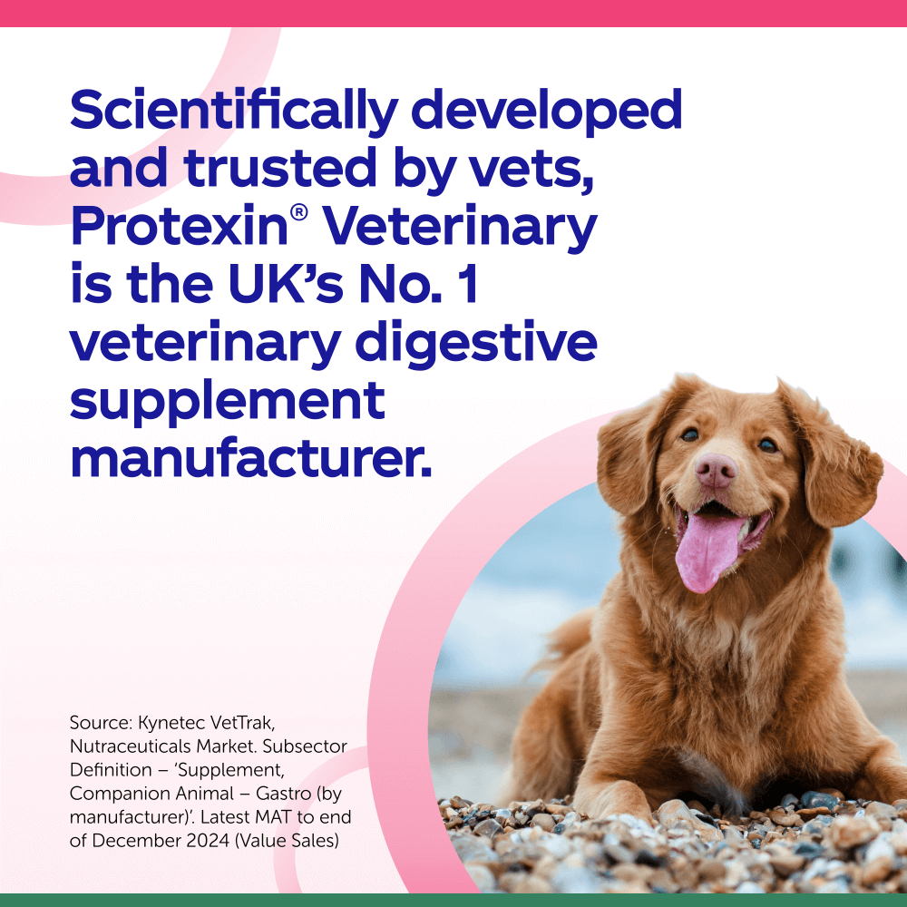 Denamarin is scientifically developed by the No.1 veterinary digestive supplement manufacturer