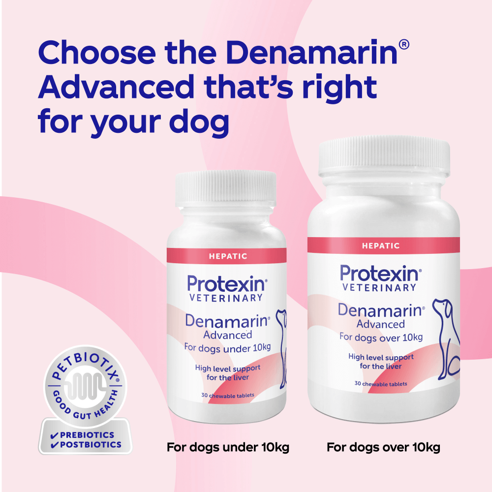 Denamarin is available in 2 sizes: dogs under 10kg, dogs over 10kg