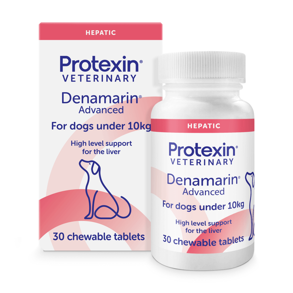 Denamarin for Dogs under 10kg