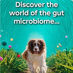 Discover the world of the gut microbiome.