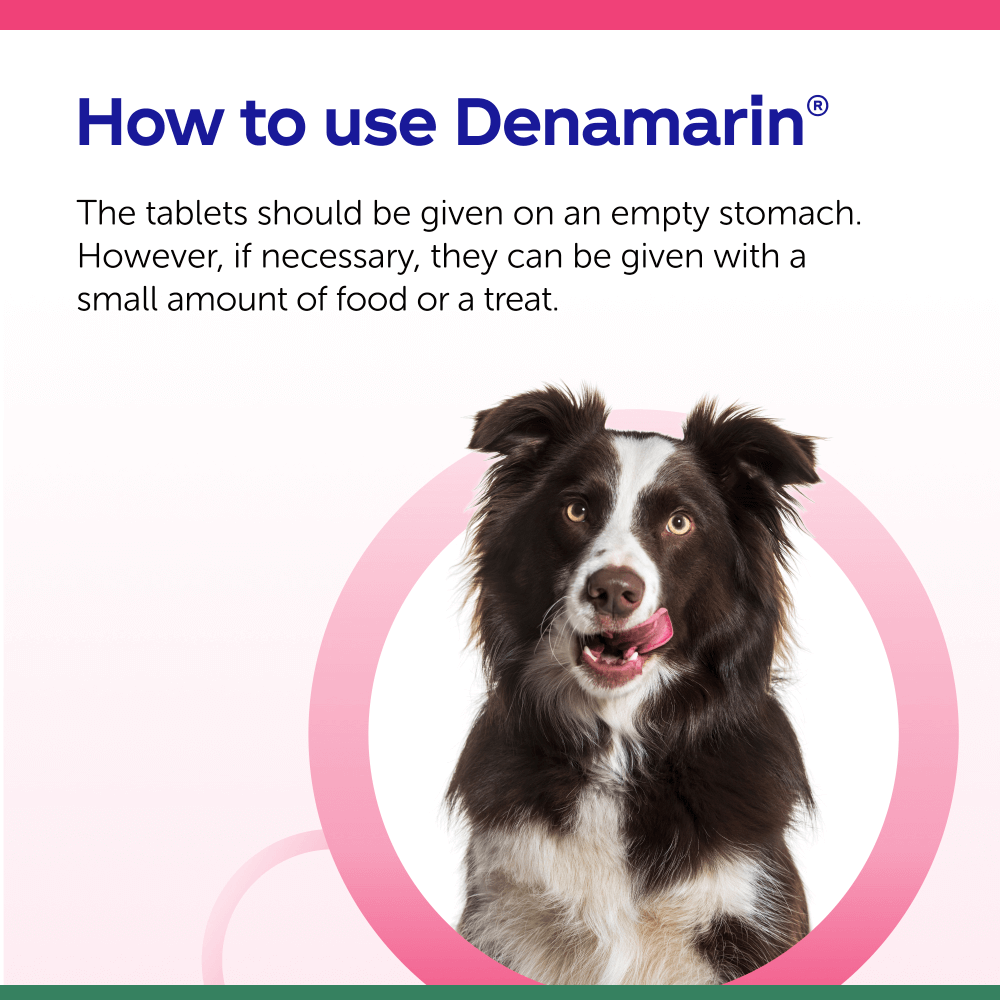 How to use Denamarin - Petbiotix