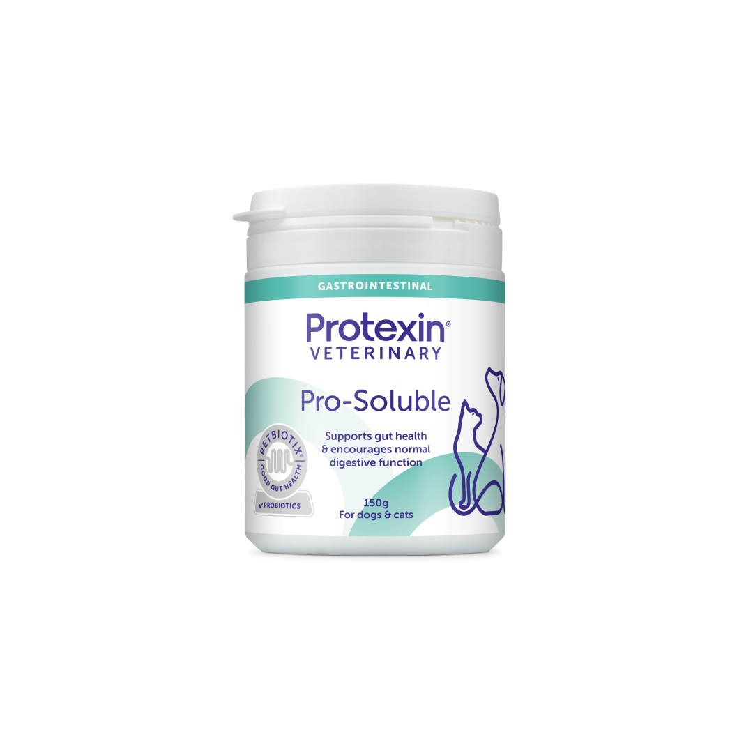 probiotics-gut-health-supplements-for-dogs-and-cats-protexin-veterinary