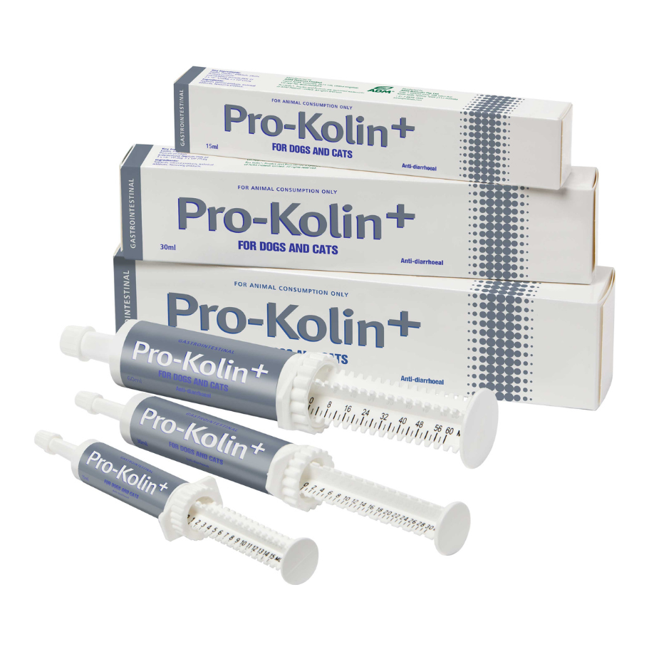 Pro-Kolin+. Probiotic paste for digestive disturbances.