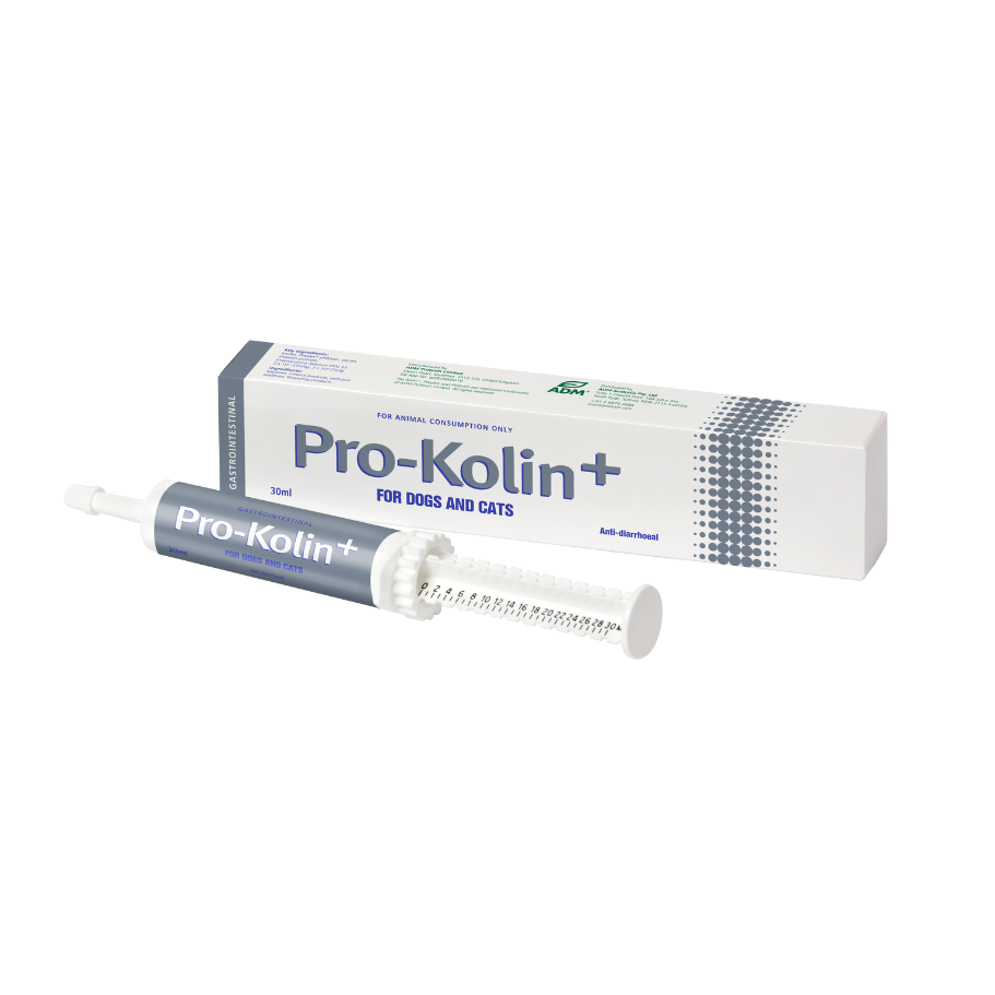 Pro-Kolin+ 30ml. Probiotic paste for digestive disturbances.