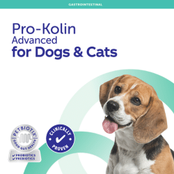 Pro-Kolin Advanced for Dogs & Cats