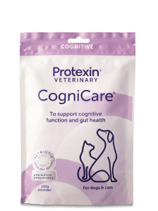 Coginicare Packshot.